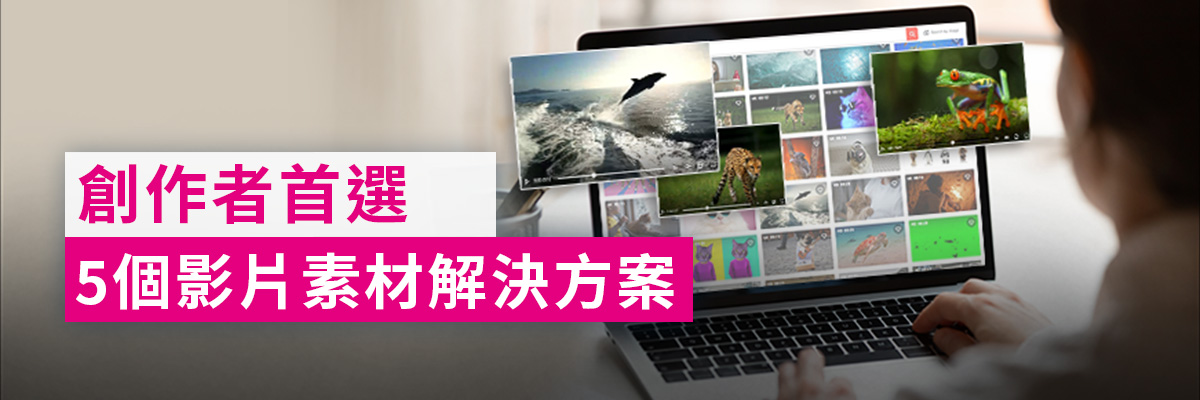 Best Royalty-Free vedio sloution